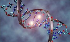 Dịch vụ thám tử xác minh ADN xác minh mối quan hệ huyết thống gia đình